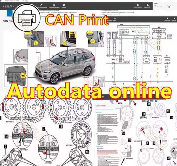 2026 Newest auto-data online a - Auto Repair Shop avaliação e preço